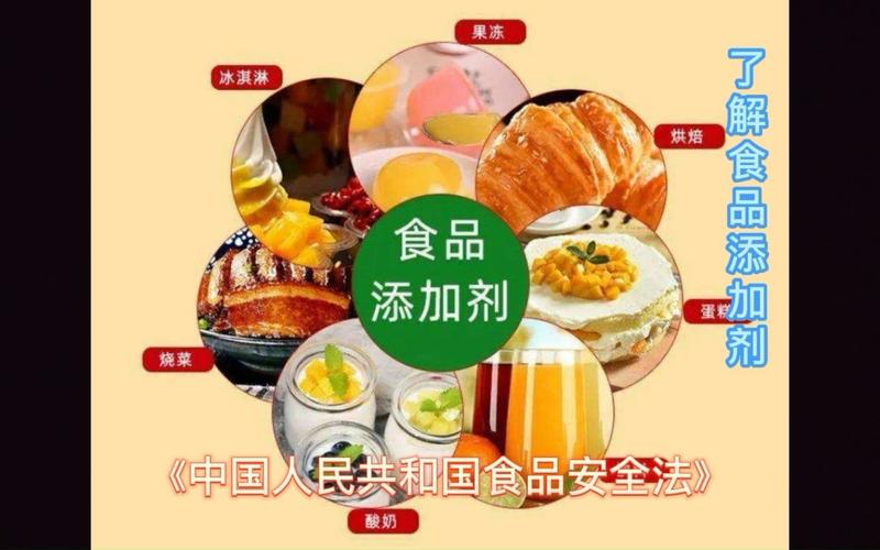 了解食品添加剂 科学认知与健康生活指南
